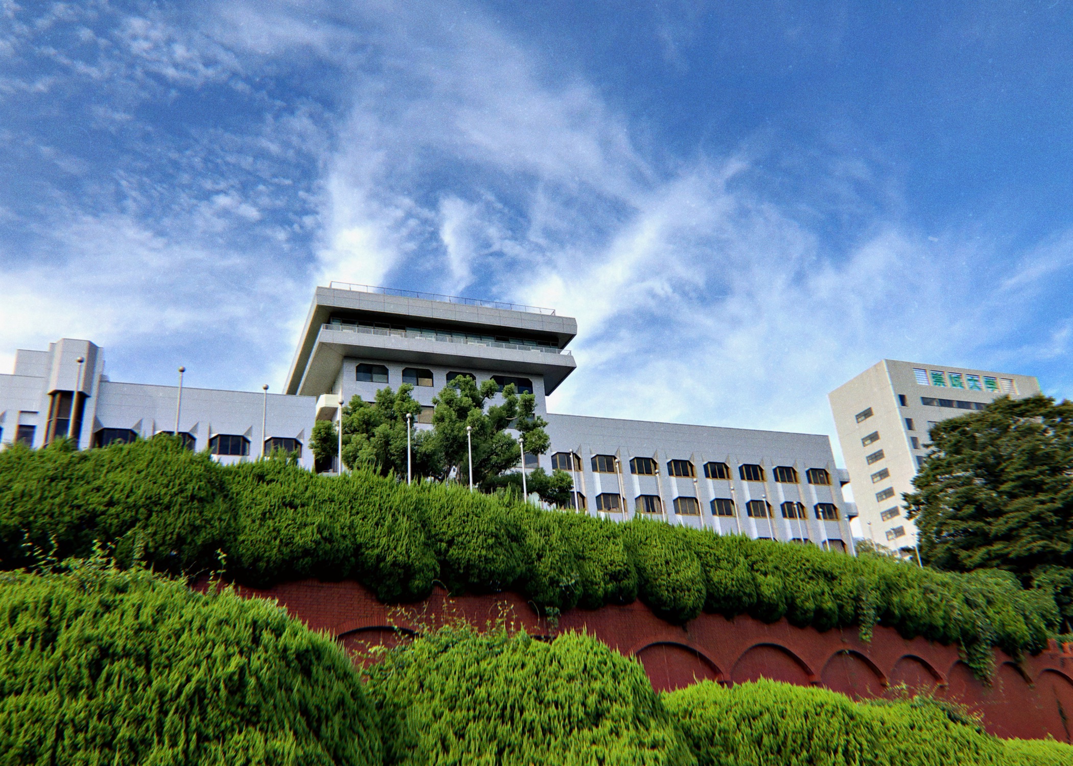 Reborn as a Student at a Japanese University