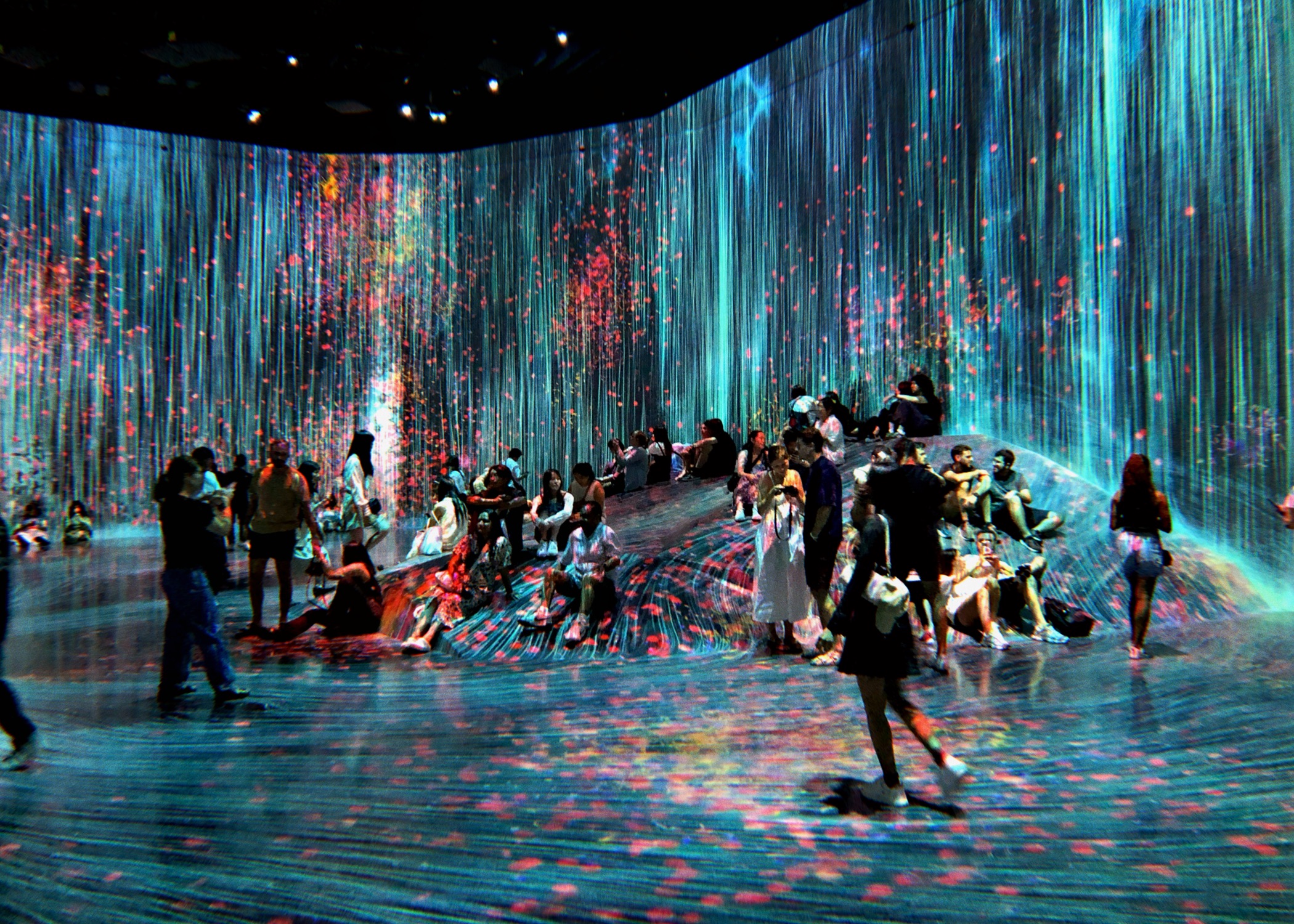 Last Night I Dreamt of Flowers